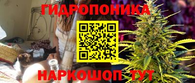 спайс Гай