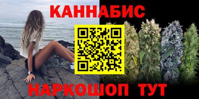дживик Гатчина