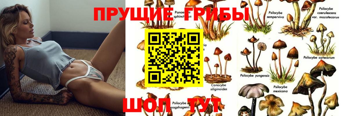 Галлюциногенные грибы мухоморы  как найти закладки  Нурлат  Вход с VPN 