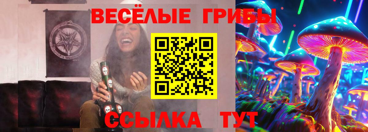 Псилоцибиновые грибы прущие грибы Нурлат